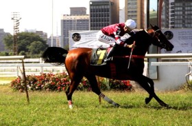 7 خيول تتنافس على كأس الوثبة  اليوم في البرازيل