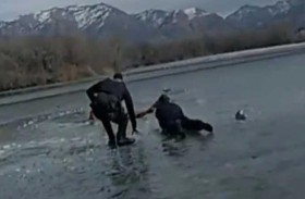 حاولوا إنقاذ مراهق فحدث ما لم يكن متوقعا 