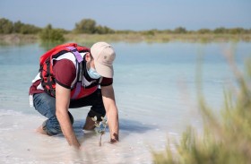 تواصل فعاليات مبادرة مغامرات أقدر لزراعة 50 ألف شجرة قرم