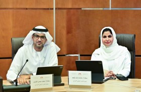 لجنة الطاقة بالوطني تواصل مناقشة استدامة خدمات الكهرباء والماء