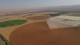 الإمارات تعزز جودة الإنتاج الزراعي باستضافة مراكز إقليمية ودولية رائدة