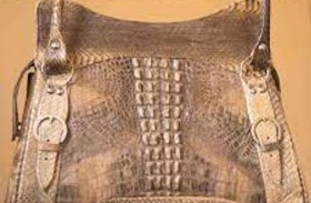«الدلو» يعيد التمساح لعرش موضة الصيف