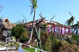 إعصار المكسيك يدمّر بيت طرزان الشهير 