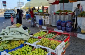 سوق الشيخ عِجلين.. مقصد عشاق العنب والتين في غزة