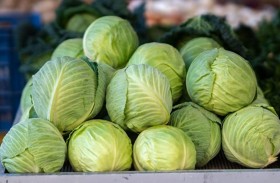 رئيس وزراء أستراليا يبحث فضيحة الملفوف