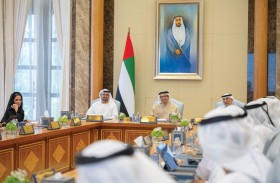 المجلس الوزاري للتنمية برئاسة منصور بن زايد يطلع على مستجدات تنفيذ السياسات والمبادرات الحكومية
