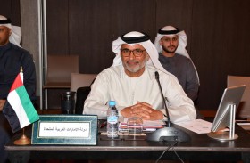 الإمارات تشارك في اجتماع المجلس التنفيذي للمنظمة العربية للطيران المدني 