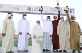 مزاينة إبل اللقايا للمحليات والمجاهيم والمهجنات الأصايل تشهد منافسات قوية بين مُلاك الإبل