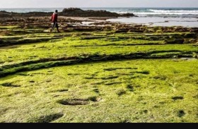 المغرب: آثار أقدام بشرية تعود لـ100 ألف عام