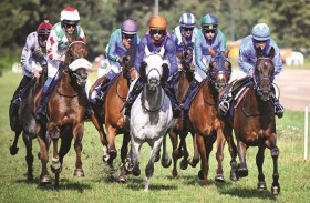 «جارف» يتوج بطلا لكأس رئيس الدولة للخيول العربية في هولندا