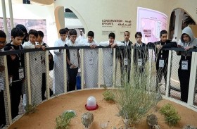 أبوظبي للصيد والفروسية ... منصة لتعزيز ارتباط النشء بثقافة وتراث الدولة