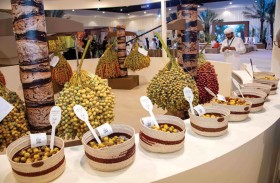 مهرجان دبي للرطب يطلق أنواعا نادرة خضعت للاستنساخ في المختبرات