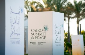 الإمارات و 8 دول عربية تصدر بيانا مشتركا في أعقاب «قمة القاهرة للسلام»