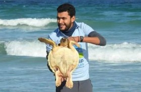 يكرس حياته لإنقاذ السلاحف البحرية