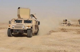 الكشف عن عدد الدواعش في العراق