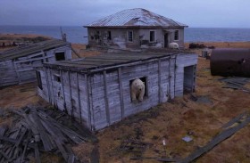 دببة تستولي على محطة قطبية سوفيتية 