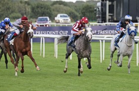 اليوم لقاء الأقوياء في كأس رئيس الدولة للخيول العربية بمضمار دونكاستر