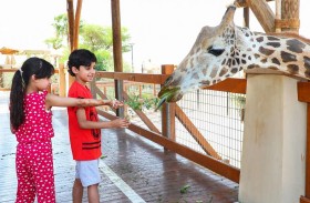 حديقة الحيوانات بالعين تقدم تجارب مشوقة خلال عيد الأضحى