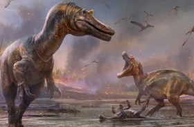 الحيوانات المفترسة بديل فعال للمبيدات الحشرية