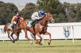 اليوم .. كأس زايد ببولندا تجذب نخبة الخيول العربية ضمن مهرجان منصور بن زايد