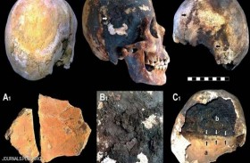 العثور على دماغ عمره ألفي عام