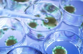 حتى غير المكتشفة.. لقاح جديد لمحاربة الفيروسات التاجية