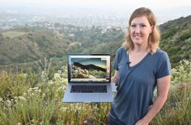 مشروع طموح لحماية أسود الجبال في كاليفورنيا 