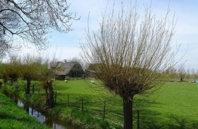 خبراء يبحثون عن كنز للنازية في قرية هولندية