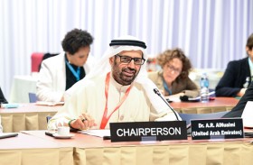 علي النعيمي يترأس اجتماع مجموعة الشراكة بين الجنسين في الاتحاد البرلماني الدولي في أنغولا