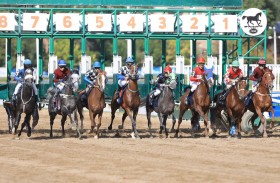 روسيا تستضيف اليوم المحطة الثالثة لكأس رئيس الدولة للخيول العربية الأصيلة وبلجيكا المحطة الرابعة غدا