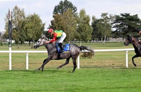 23 خيلاً تتنافس في سباقي الوثبة بفرنسا اليوم