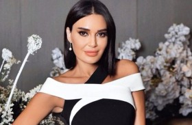 سيرين عبدالنور تقطع حفلها بسبب معجب