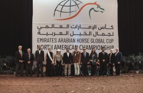برعاية منصور بن زايد.. ختام مثير للجولة الـ7 لكأس الإمارات العالمي لجمال الخيل العربية بأمريكا