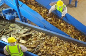 بيئة تطلق محطة معالجة الكتل الحيوية بمنطقة الصجعة