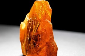 اكتشاف كهرمان نادر عمره 50 مليون سنة