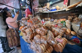 بوليفيا تواجه أزمة اقتصادية حادّة مع اقتراب الانتخابات الرئاسية