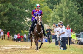 اتحاد الفروسية: «مونديال القدرة» فرصة جديدة لمواصلة الإنجازات العالمية