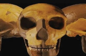 اكتشاف قد يعيد كتابة قصة تطور البشرية