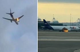 طائر يتسبب في اشتعال محرك طائرة