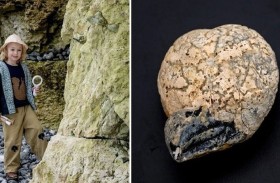 طفل مهووس بالديناصورات يعثر على حفرية نادرة