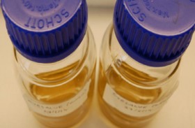 علاجٌ عمره ألف عام قد يحل معضلة المضادات الحيوية