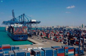 17.29 مليار درهم إيرادات موانئ أبوظبي في 2024