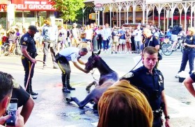 تعنيف حصان يتسبب بموجة غضب