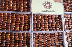برعاية حمدان بن زايد .. مهرجان و مزاد ليوا للتمور ينطلق اليوم بدورته الـ3