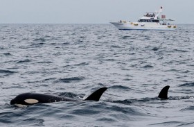 مستحمة تطفو حولها آلاف اليوروهات