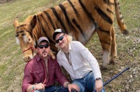 بقرة تتحول إلى نمر !