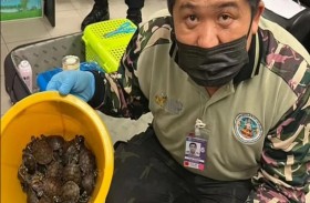 109 حيوانات حية بحقائب مسافرتين