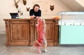 مطعم يقدم «أطباقاً فاخرة» للكلاب