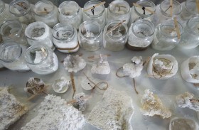 جناح الإمارات يطرح حلولاً بديلة للإسمنت البورتلاندي في «بينالي البندقية»