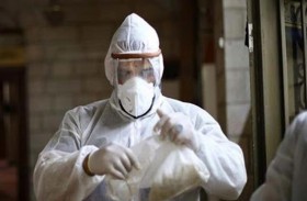 إجراءات مالية للدول والمصارف المركزية لإنعاش الاقتصاد في مواجهة كورونا 